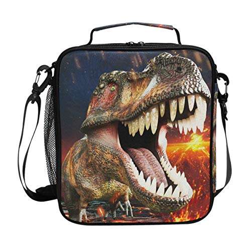 ZOEO Boys Dinosaur Lunch Box 3D Insulated Lunch Bag Prep Kids Cooler Blue Tote Freezable Shoulder St - //coolthings.us