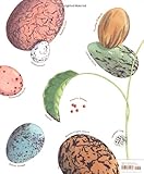 Image de An Egg Is Quiet