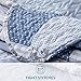 Bedsure Printed Quilt Set King Size, Blue Floral Patchwork Pattern, Lightweight Bedspread Coverlet Design for All Seasons, 1 Quilt and 2 Pillow Shams (106