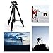 Tairoad T1-111 Tripod 55