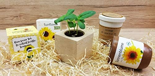 Feel Green Ecocube - Flor de Sol ecológica, Certificado ecológico ...