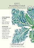 Organic Dwarf Blue Curled Kale Seeds - 1 gram - Botanical Interests