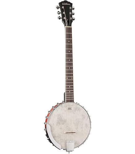 Amazon.com: Raven Series 6-String Banjo w/Bag : Musical Instruments