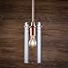 Effimero Large Stem Hung Clear Glass Contemporary Pendant Light. Copper Fixture with Adjustable Hanging Height. Industrial Edison Modern Style. UL Listed, Linea di Liara LL-P315-CU
