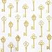 LolliBeads (TM Mixed Set of 30 Large Skeleton Keys in Golden- Set of 30 Keys