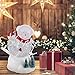 pearlstar Christmas Snow Globe Lighted Snowman Glitter Swirling Water Snowglobe Holiday Night Lights for Christmas Home, Living Room Decoration, Battery or USB Powered (Snowman)