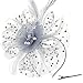 DRESHOW Fascinators Hat Flower Mesh Ribbons Feathers on a Headband and a Clip Tea Party Headwear for Girls and Women