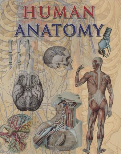 Human Anatomy