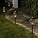 SOLPEX 6 Pack Solar Path Lights Outdoor, Glass and Bronze Finished, High Lumen Output 2 Bright LEDs Light, Waterproof Automatic Solar Lights for Patio, Yard, Lawn, Garden