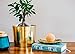 100% Natural Cork Massage Ball Set | Deep Tissue Trigger Point Therapy | High Density, Non-Toxic + Eco-Friendly Massage Roller | Canvas Bag Included (Small 2.5