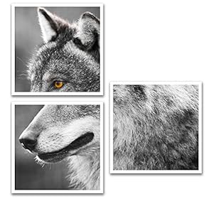 3 Piece Canvas Wall Art for Living Room Bedroom Home Artwork Animal Paintings Ready to Hang - 12"x12"x3 Panels