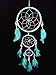 Betterdecor Handmade Dream Catcher with Feather Wall Hanging Decoration Ornament-3LB (Gift Bag)