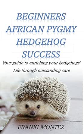 pygmy hedgehog care