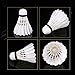 ZHENAN 12-Pack Advanced Goose Feather Badminton Shuttlecocks with Great Stability and Durability,Indoor Outdoor Sports Hight Speed Training Badminton Birdies Balls
