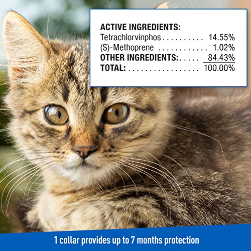 Adams Plus Flea & Tick Collar for Cats Breakaway Collar 1 White Collar 7 Month Protection