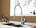 Enzo Rodi ERF7209251CP-10 Modern Commercial Kitchen Faucet With Pull-Down Sprayer,Polished Chrome