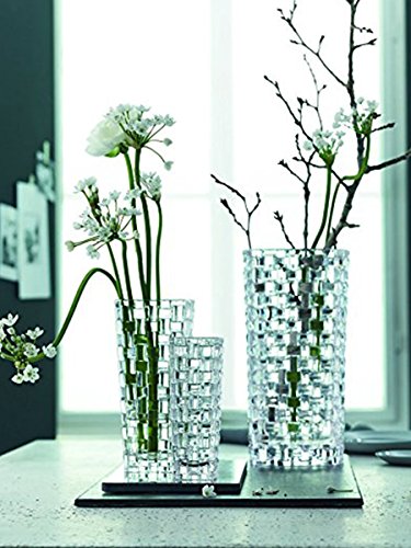 Nachtmann 奈赫曼水晶玻璃透明花瓶多少钱 什么值得买