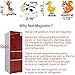 Animal Magnets Letters Refrigerator for Kids Toddlers 1-3, 32 Fridge Magnetic Animal Toys Set with Clear & Big Letters Educational Spelling Early Learning Tool