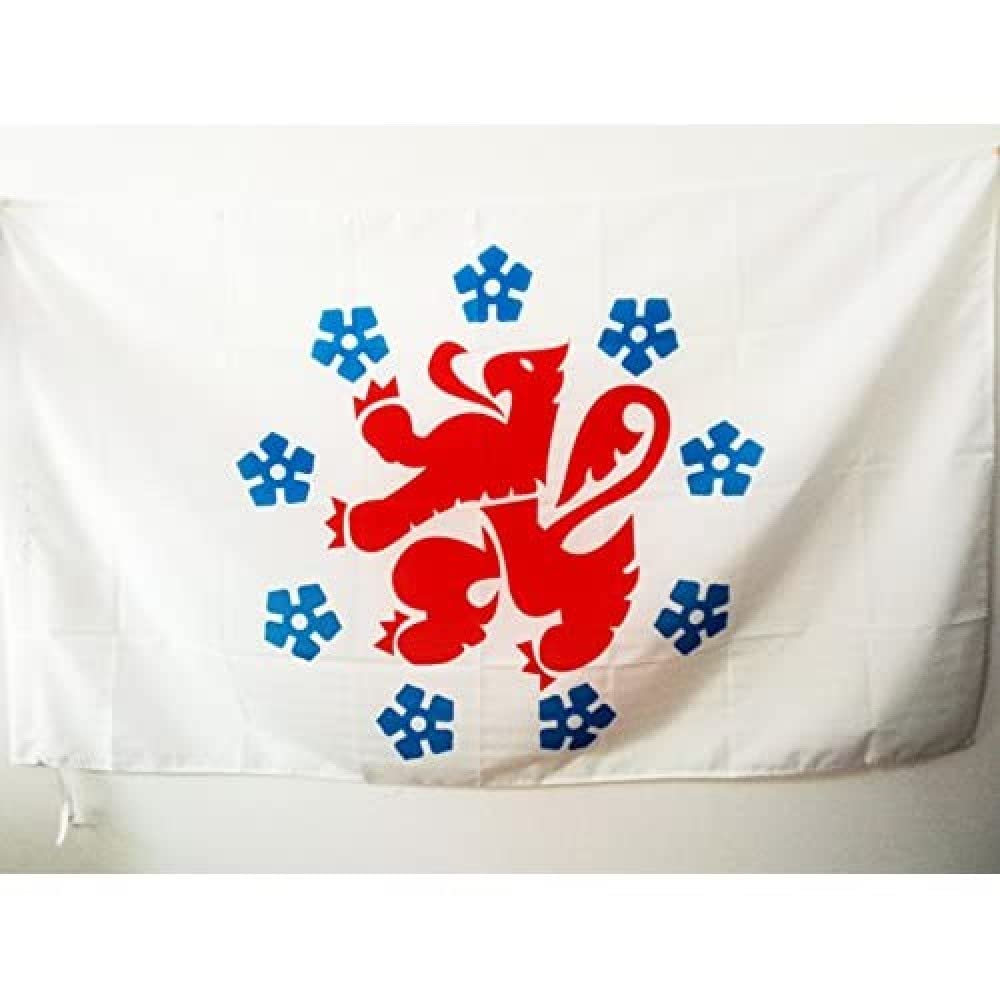 AZ FLAG - German-speaking Community of Belgium Flag - 2x3 Ft - Duitstalige Gemeenschap Banner with Sleeve - 100% Polyester - Fade Resistant - Vivid Colors - 2' x 3' Feet - 90x60 Cm