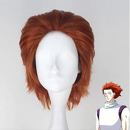 Amazon Com Anime Hunter X Hunter Hisoka Cosplay Wigs Brown Short Hair Hisoka Wig Accessories Phantom Troupe Beauty