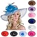 Lawliet Womens Dress Church Wedding Occasion Wide Brim Feather Veil Sun Hat A265