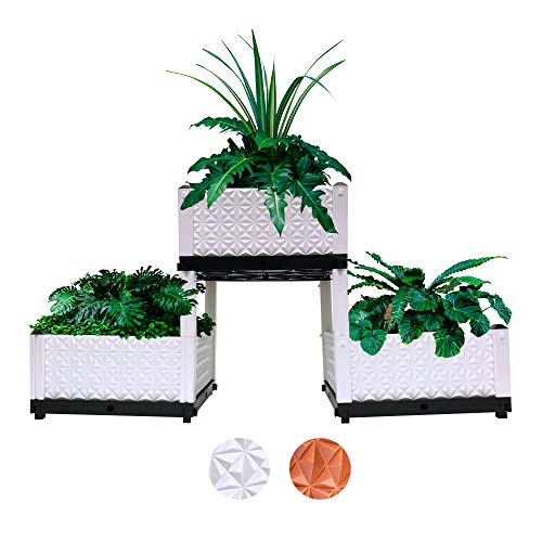 Best Elevated Garden Bed With Starter