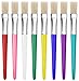 16 Piece Large Flat Tip Paint Brushes Hog Bristle Tempera and Artist Paint Brushes for Kids with Short Stubby Plastic Handle-Assorted Colors