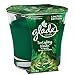 Glade Jar Candle Air Freshener, Tree Lighting Wonder, 3.4 oz