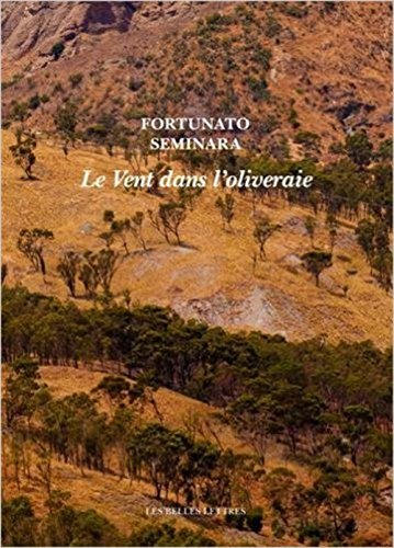 Le  vent dans l'oliveraie