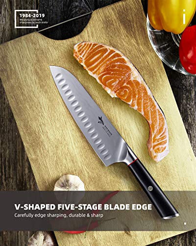 Damascus Santoku Knife- MAD SHARK Pro Kitchen Knives 8 Inch Chef's Knife, Best Quality Damascus Steel Knife with Ergonomic Handle, Razor Sharp, Best Choice for Home Kitchen & Restaurant