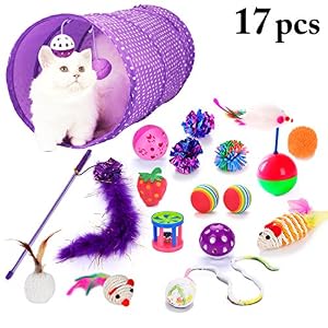 Image of Legendog Cat Toy Set, 17PCS Assorted Types Cat Teaser Toy Cat Ball Toy Cat Tunnel Cat Plush Toy