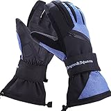 Dragon Squama Mens Ski Gloves, Waterproof 3M Thinsulate Thermal Warm Windproof Snow Sport Skiing Snowboarding, Winter Cold Weather Glove (Blue, L)