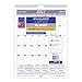 AT-A-GLANCE Monthly Wall Calendar, Academic Year, 12 Months, July 2015-June 2016, 8 x 11 Inch Page Size (AY-128)