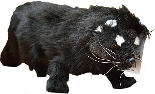 About until the earlier of binturong stuffed M size tail 60cm Nasu Animal Kingdom Original