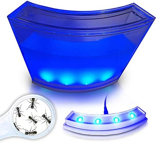 Ants 4 You Illuminated Ant Farm