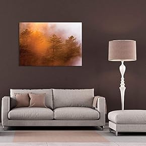 Canvas Wall Art - Red Pine Tree Forest with Fog in Autumn - Giclee Print Gallery Wrap Modern Home Art Ready to Hang - 12" x 18"
