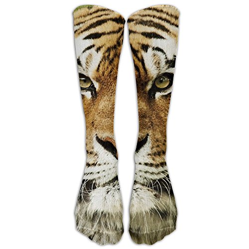 Tiger Socks for You Kritters in the Mailbox Tiger Sock Gift