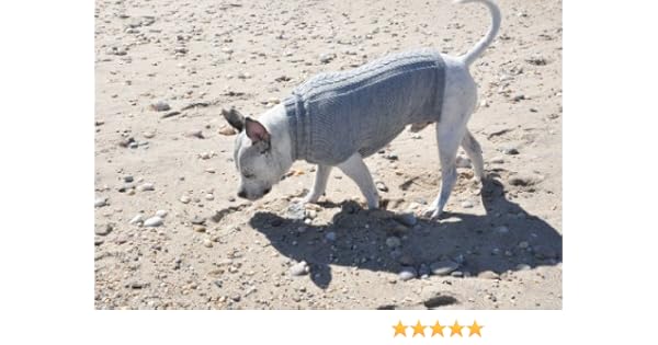 alpaca wool dog sweaters