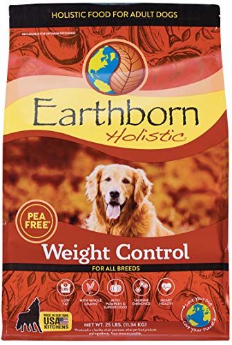 Image showcasing Earthborn Holistic Dog Food Review 2024 - Dogtime