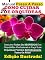 Livro Manual PASSO-A-PASSO Como Cuidar de Orquídeas : Descubra Todos Os Segredos Dos Orquidófilos Profissionais e Faça Suas Orquídeas Florirem Definitivamente Todos Os Anos