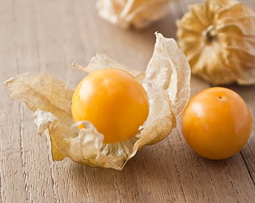 Cape Gooseberry, Ground Cherry seeds - Physalis peruviana