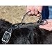 Brown 2 Snap Agitation Harness with Handle w/Stainless Steel Hardware