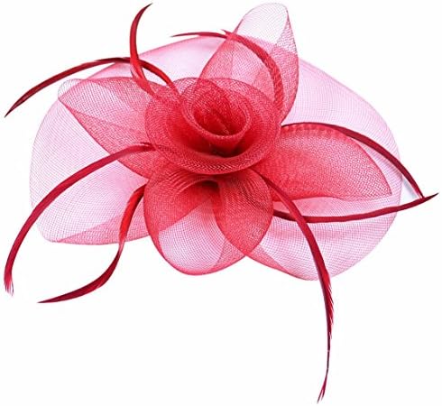 Fascinator on Hairclip for Women Mesh Feather