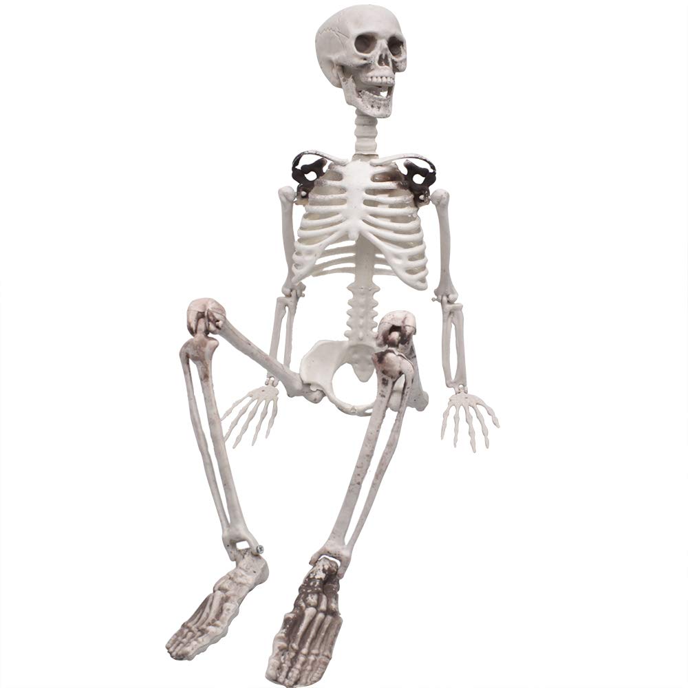 Photo 1 of XONOR 3ft/90cm Halloween Full Body Skeleton Props Realistic Human Bones with Movable Joints for Halloween Party Decoration (Old Bone Color)