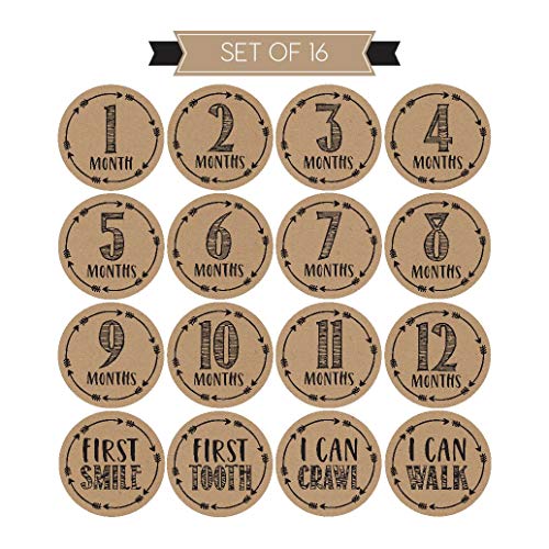 1 Milestone+Stickers+Monthly+Scrapbook+Registry