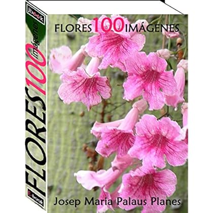 Flores (100 imágenes) Flores (100 imágenes)