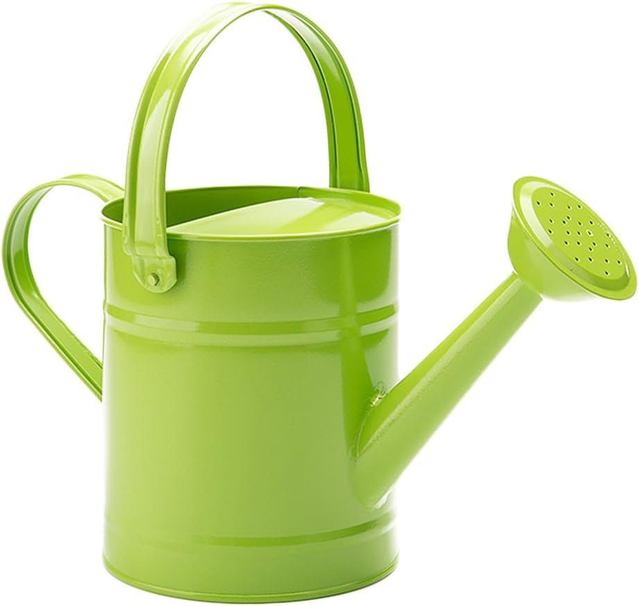 FLYING BALLOON Multi-Color Metal Watering Can and Plastic Watering Pot Set for Garden, Rose Pink/Green/Blue