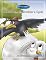 Livro Clássicos Todolivro: Corvo que quis imitar a Águia