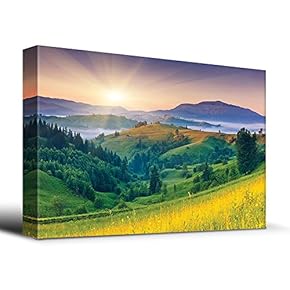 Sunset Over Lush Valley Meadow