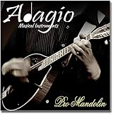 Adagio Pro Mandolin String Set Phosphor Bronze Wound 010-034 Loop End view 4